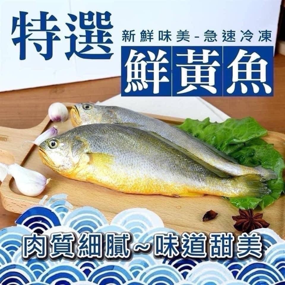 X-三去黃花魚 400-500g