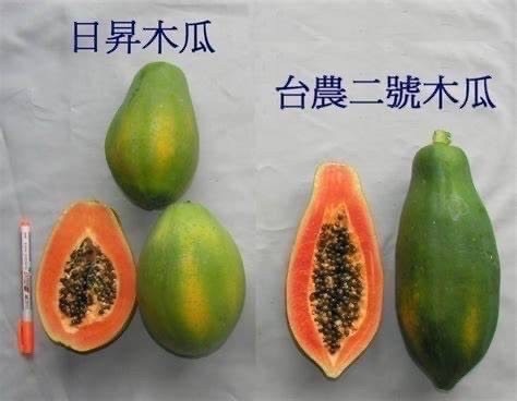 商品圖片 2