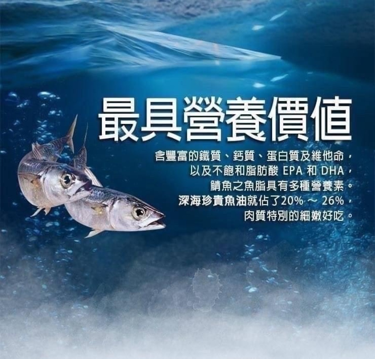 頂級南方澳鯖魚 190g