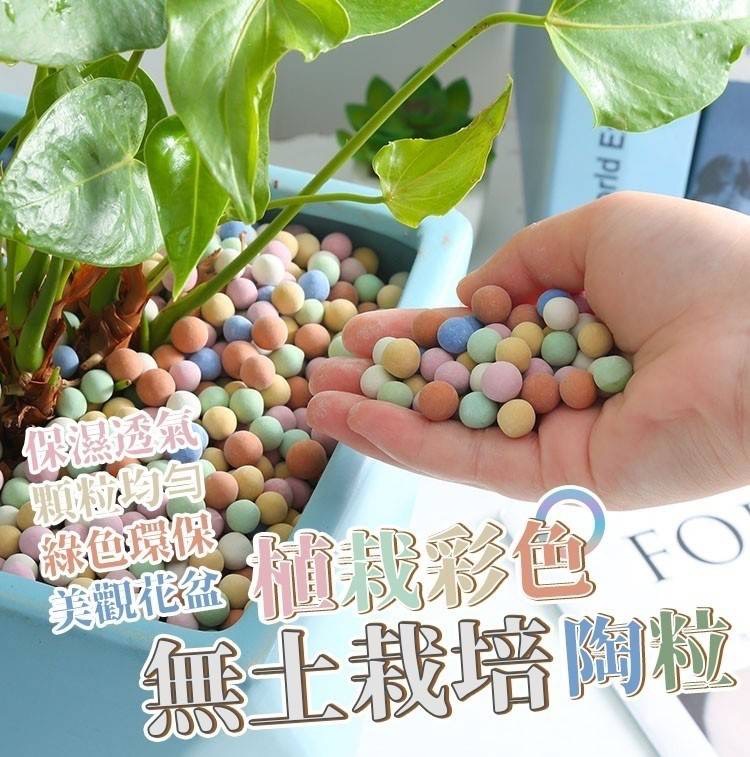 P-植栽彩色 無土栽培陶粒 500g
