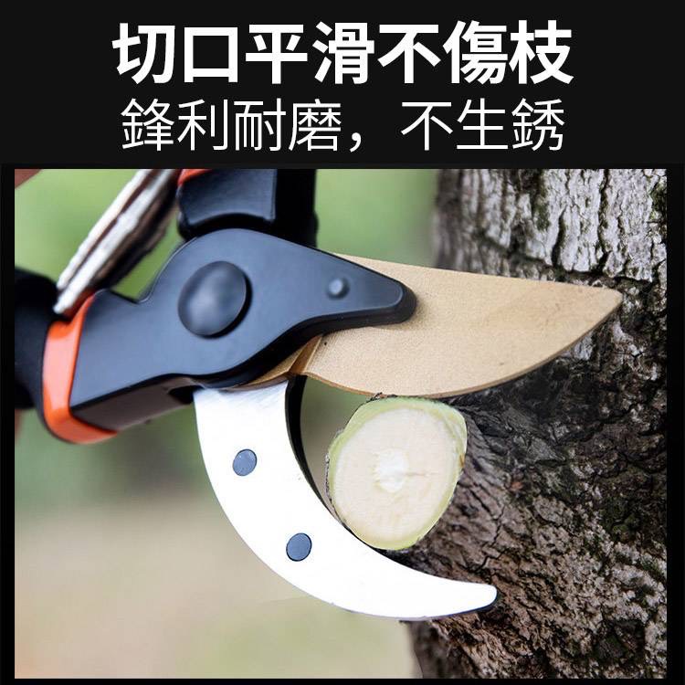商品圖片 4