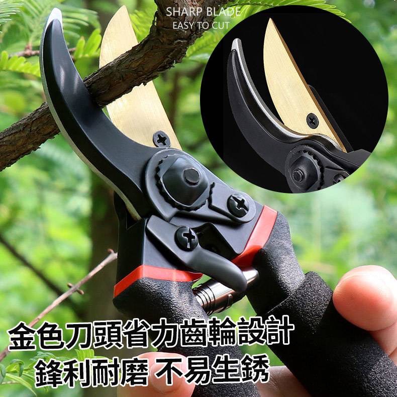 商品圖片 2