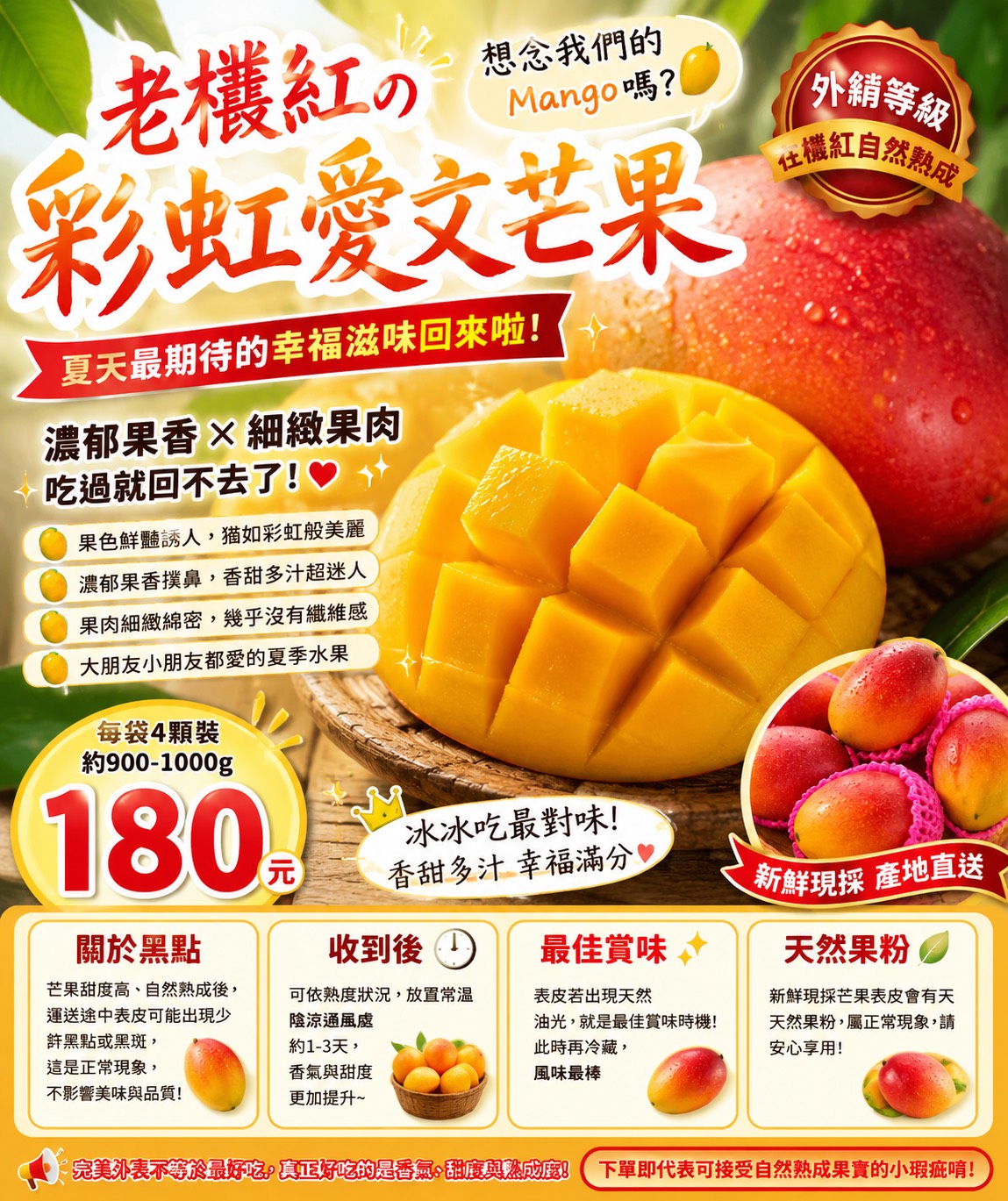 X-老欉 紅彩虹 愛文芒果 約900-1000g (每袋４顆裝)